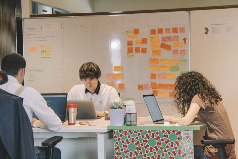 Project Manager (Agile)